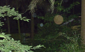 Orb 21
